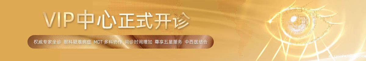 vip中心简介