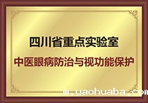 中医眼病防治与视功能保护