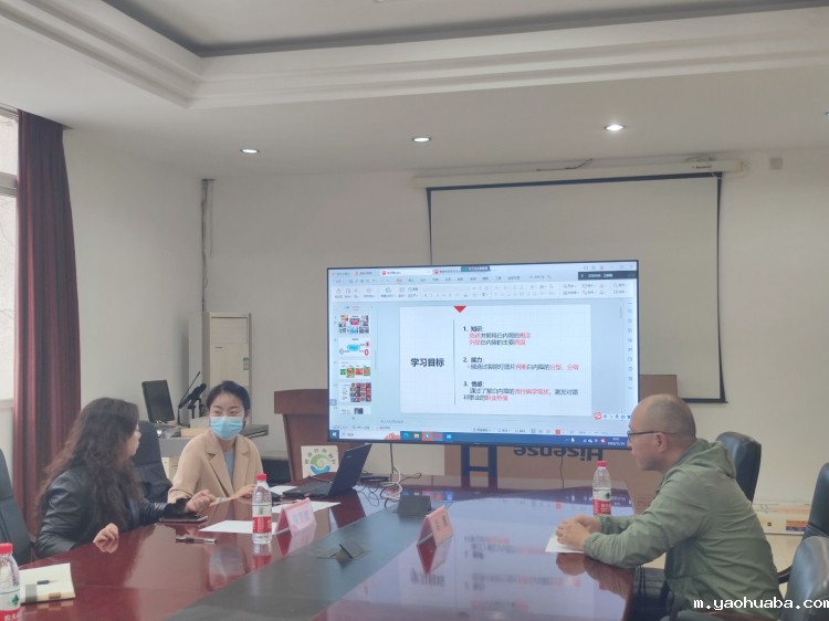 专家咨询会1